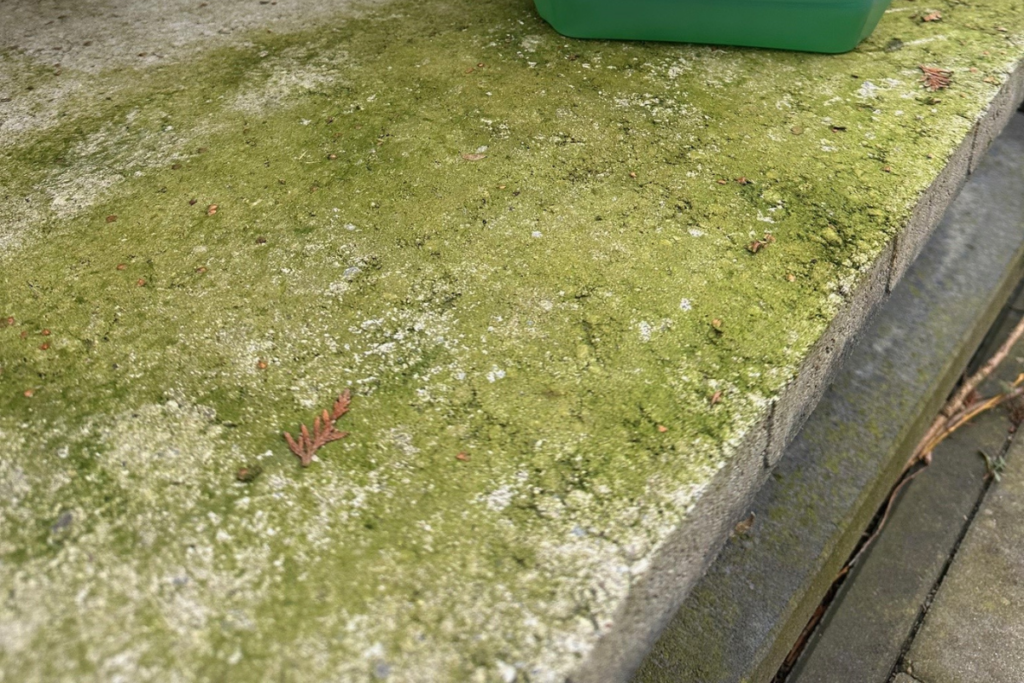 Groene aanslag op terrastegels