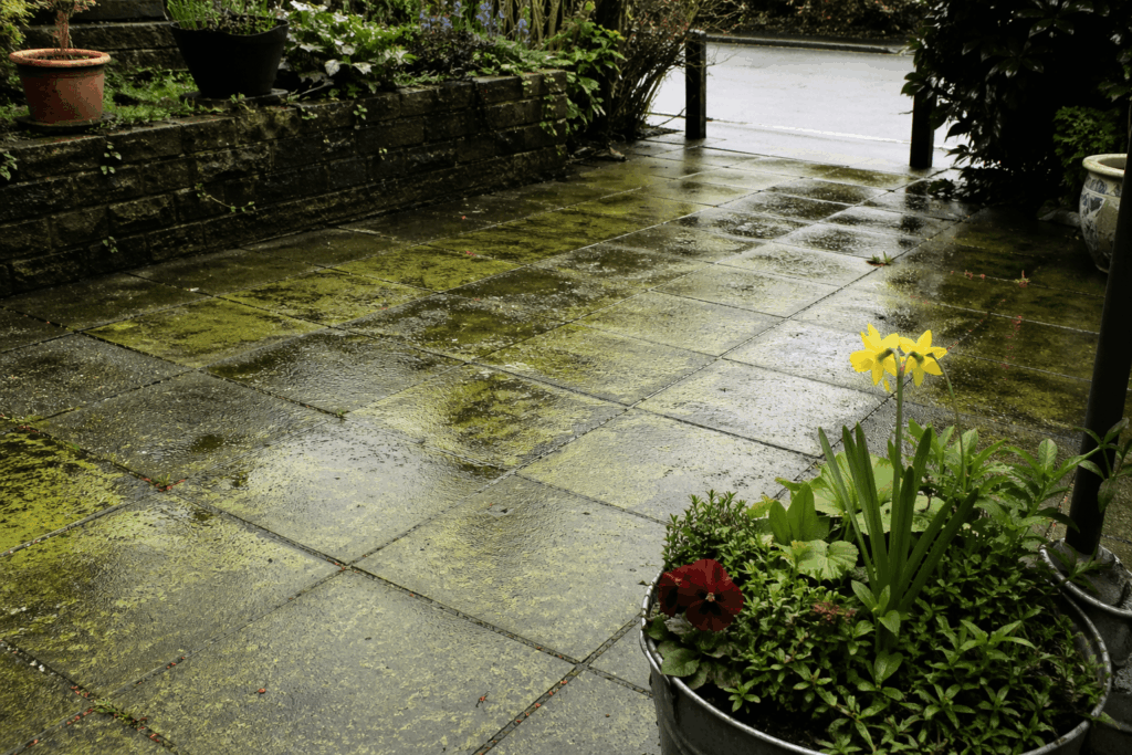 groene aanslag op terrastegels