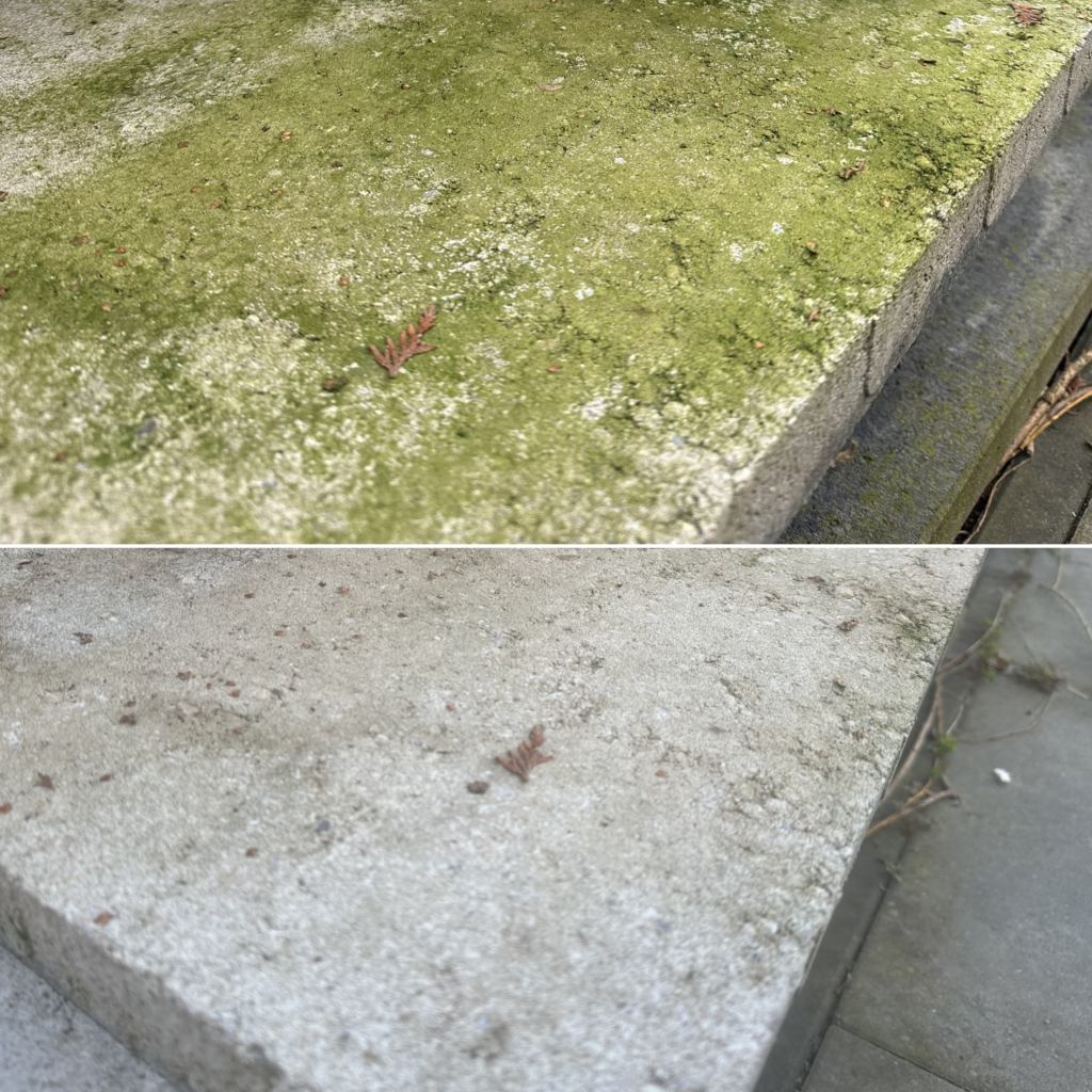 Groene aanslag verwijderen van terrastegels voor en na reiniging
